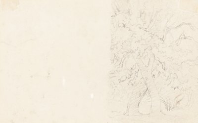 Arbres (verso) - David Cox