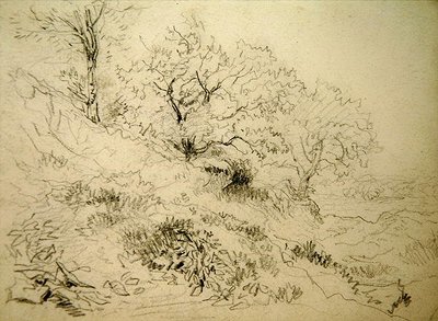 Paysage gallois - David Cox