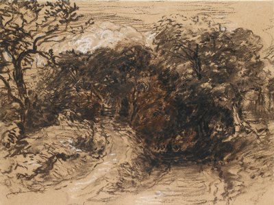 Un chemin creux près de Harborne, Derbyshire - David Cox the elder