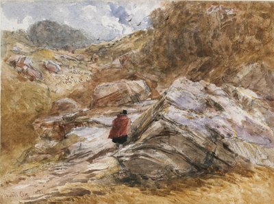 Col de montagne à Bettws-y-Coed, 1851 - David Cox the elder