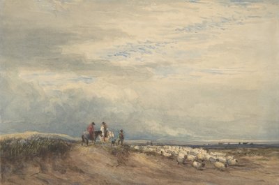 Cavaliers avec des moutons près d