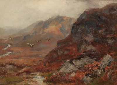 Collines des Highlands - David Farquharson