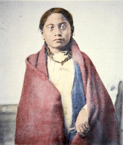 Crow Foot (d.1890) - David Frances Barry