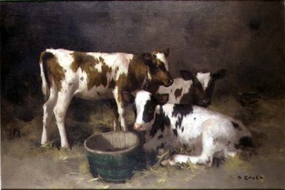 Trois veaux - David Gauld