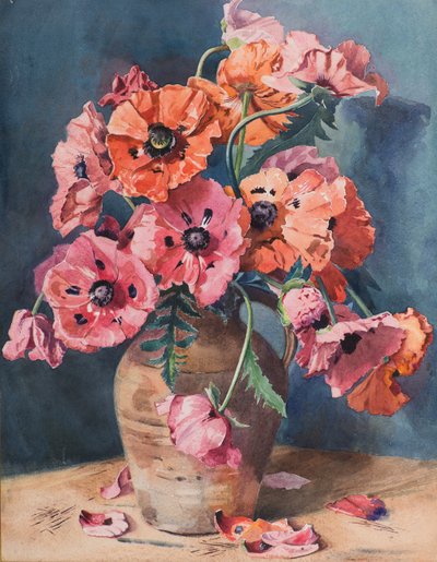 Coquelicots - David Goodfellow