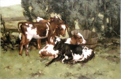 Trois veaux, vers 1920 - David Gould