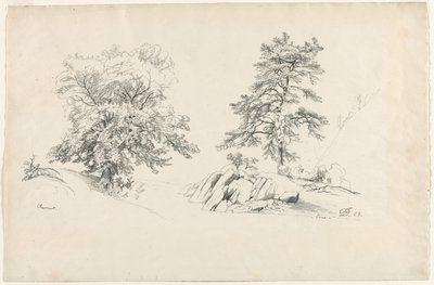 Châtaignier et pin, 1869 - David Johnson