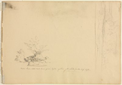 Études de paysage et d