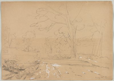 Paysage avec un homme en train de pêcher, Conway, New Hampshire - David Johnson