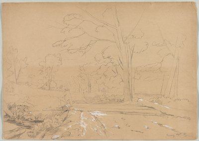 Paysage avec homme pêchant, Conway, New Hampshire, 1851 - David Johnson