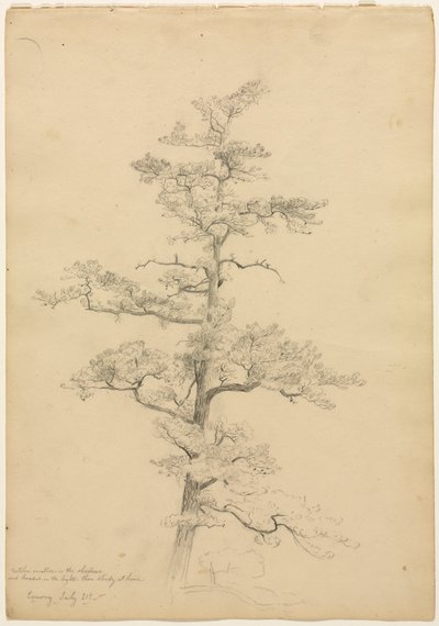 Pin, Conway, New Hampshire recto, vers 1851 - David Johnson