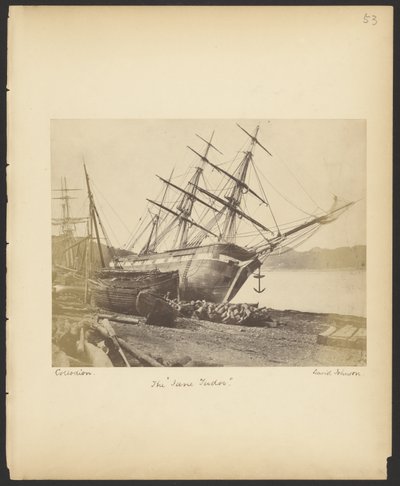 La "Jane Tudor" - David Johnson