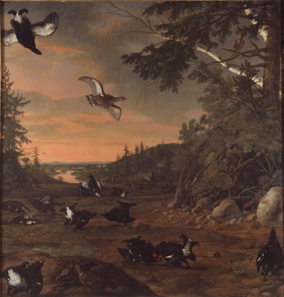 Suédois :  Orrspel
 Coqs noirs au sol - David Klöcker Ehrenstrahl