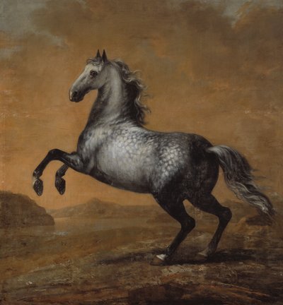 Le Petit Anglais, cheval du roi Karl XI (1655-97) - David Klöcker Ehrenstrahl
