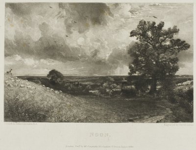 Midi - David Lucas