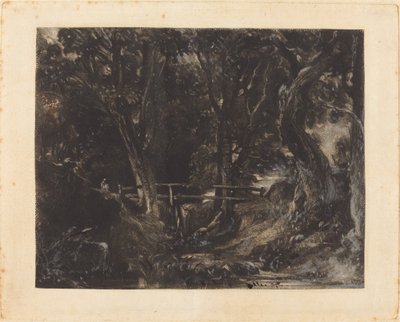 Un vallon à Helmingham Park, Suffolk - David Lucas after John Constable