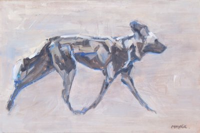 Chien peint africain (chien sauvage) - David Mayer