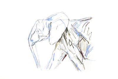 Éléphant d