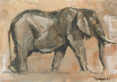 Éléphant mâle - David Mayer