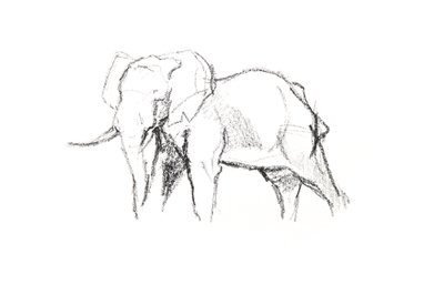 Éléphant mâle, 2021 - David Mayer