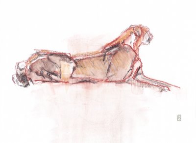 Guépard en alerte, 2019 - David Mayer