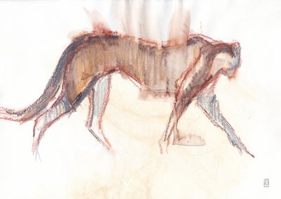 Chasse du guépard, 2019 - David Mayer