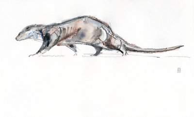 Loutre courant, 2022 - David Mayer