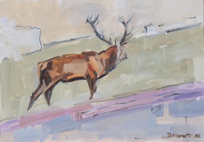Cerf élaphe rouge 2022 - David Mayer
