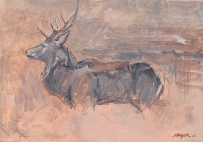 Cerf Rouge, 2023 - David Mayer