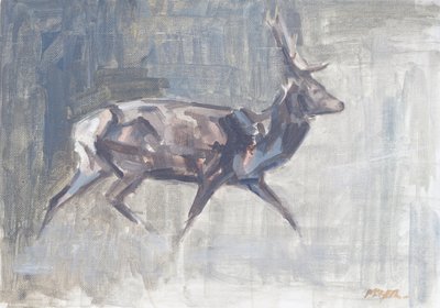 Cerf rouge courant, 2023 - David Mayer