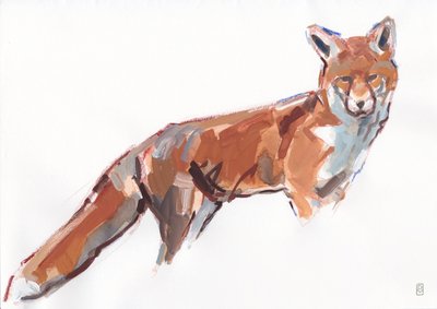 Renard roux, 2021 - David Mayer