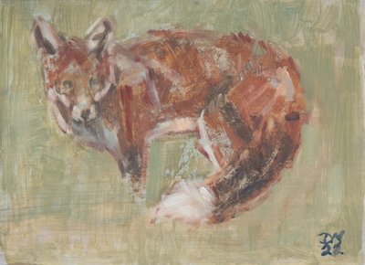 Renard roux, 2022 - David Mayer