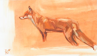 Renard rouge, 2022 - David Mayer
