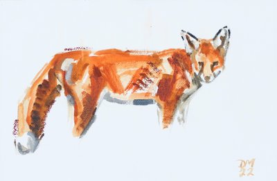 Renard roux, 2022 - David Mayer