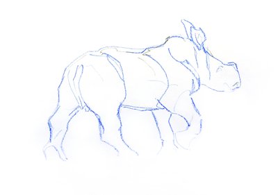 Bébé rhinocéros blanc - David Mayer