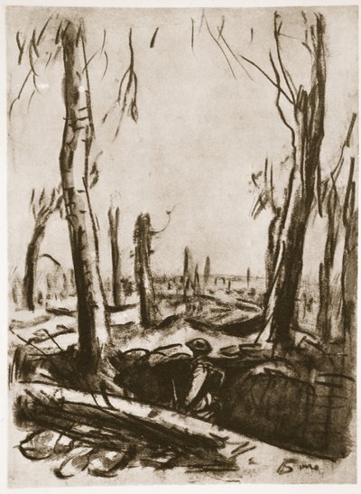 Tranchées en ruines dans le bois de Mametz, illustration de 
