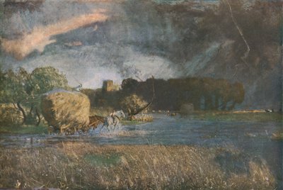 Un foin du Hampshire - David Murray