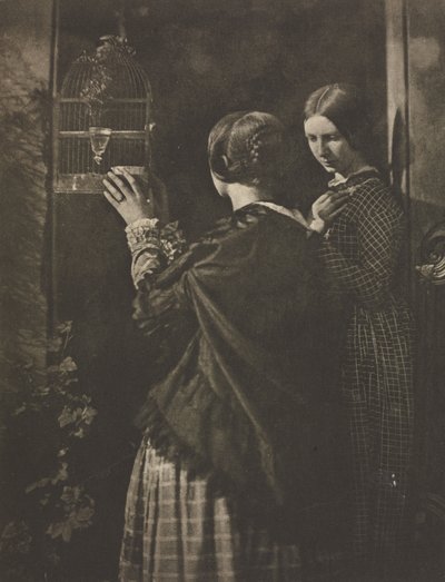 La cage à oiseaux - David Octavius Hill