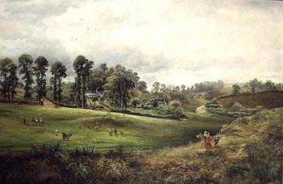 Un match de cricket villageois - David Payne