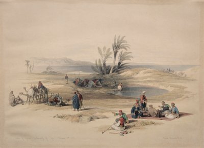 Puits de Moïse, désert de Tyh - David Roberts