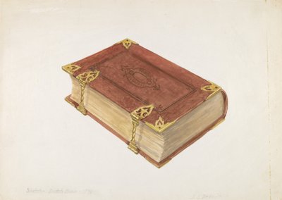 Bible néerlandaise - David S. De Vault