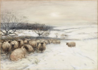 Hiver - David T. Robertson