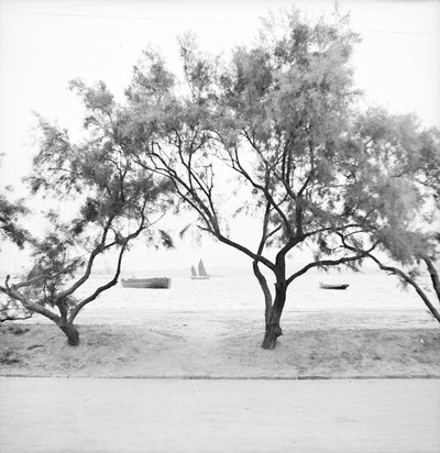 Regardant vers la mer depuis le bund à Weihaiwei - David Watkin Waters