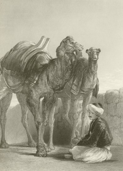 Un groupe de chameaux à Smyrne - David Wilkie