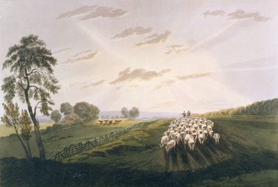 Après-midi, vue dans le Surrey, illustration de A Treatise on Landscape Painting and Effect in Water Colours, 1841 - David after Cox