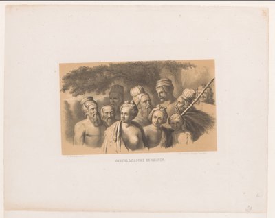 Germains néerlandais - David van der Kellen
