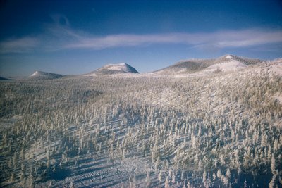 La Sibérie en hiver, paysage sur marais et forêts couvertes de neige - Dean Conger