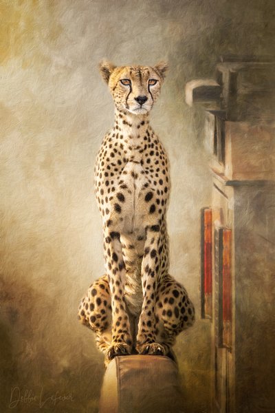 Portrait majestueux d