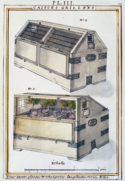 Boîtes en bois pour transporter des plantes rares sur des navires par Delahaye, de Florindie ou Histoire physico-économique des Végétaux de la Torride - Delahaye Delahaye