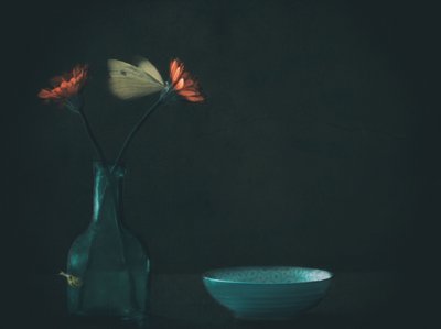  - Delphine Devos